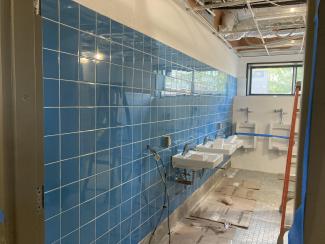 renovation